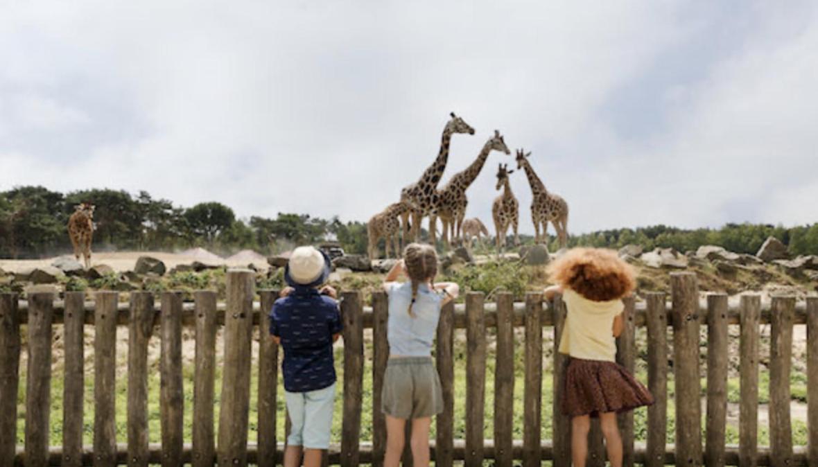 29, Natuurlijk Gelegen Nabij Efteling En Beekse Bergen, Airco & Prive Parkeren Inbegrepen! Oisterwijk Luaran gambar