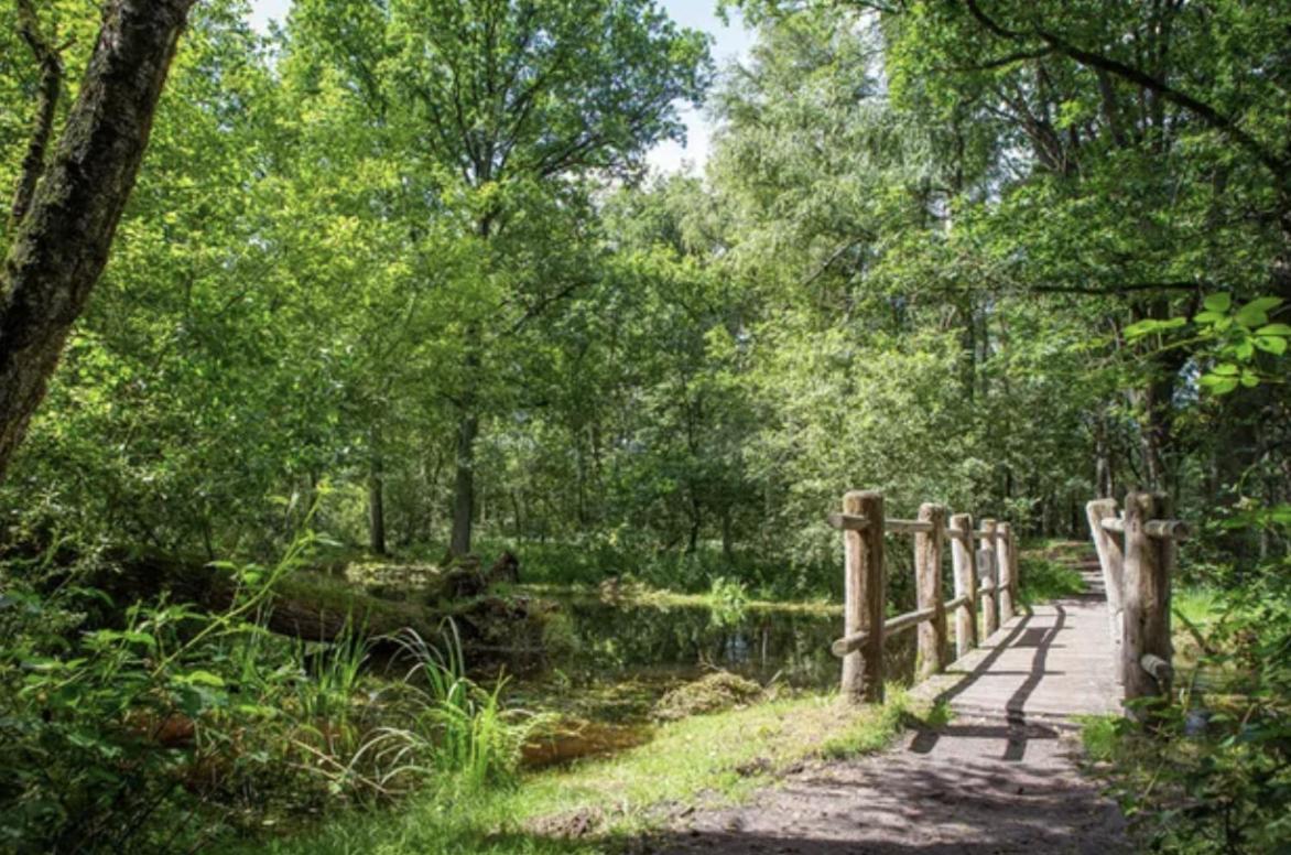 29, Natuurlijk Gelegen Nabij Efteling En Beekse Bergen, Airco & Prive Parkeren Inbegrepen! Oisterwijk Luaran gambar